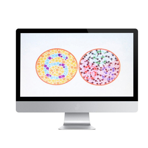 21.5 Inch LCD Screen Visual Acuity <strong>Chart</strong> Examination Eye Vision Test <strong>Chart</strong> LY-220 - Product Image 3