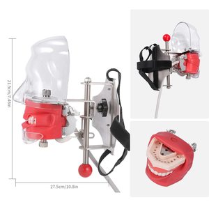 Dental Simulator Manikin Phantom Head - Teaching Mouth Head Model <strong>Fix</strong> on Chair Replaceable Typodont Dental <strong>Tooth</strong> Model - Product Image 6