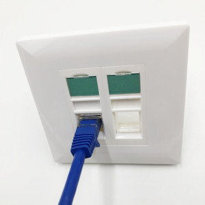 Red de doble puerto RJ45 Socket Networking 86 Tipo con placa frontal de obturador
