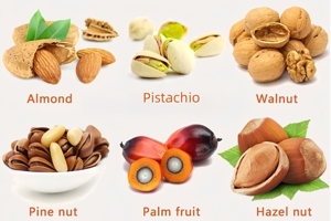 Almond Palm Separation Equipment Pecan Nuts Separating Machine Automatic Nut <strong>Kernel</strong> and <strong>Shell</strong> <strong>Separator</strong> - Product Image 6