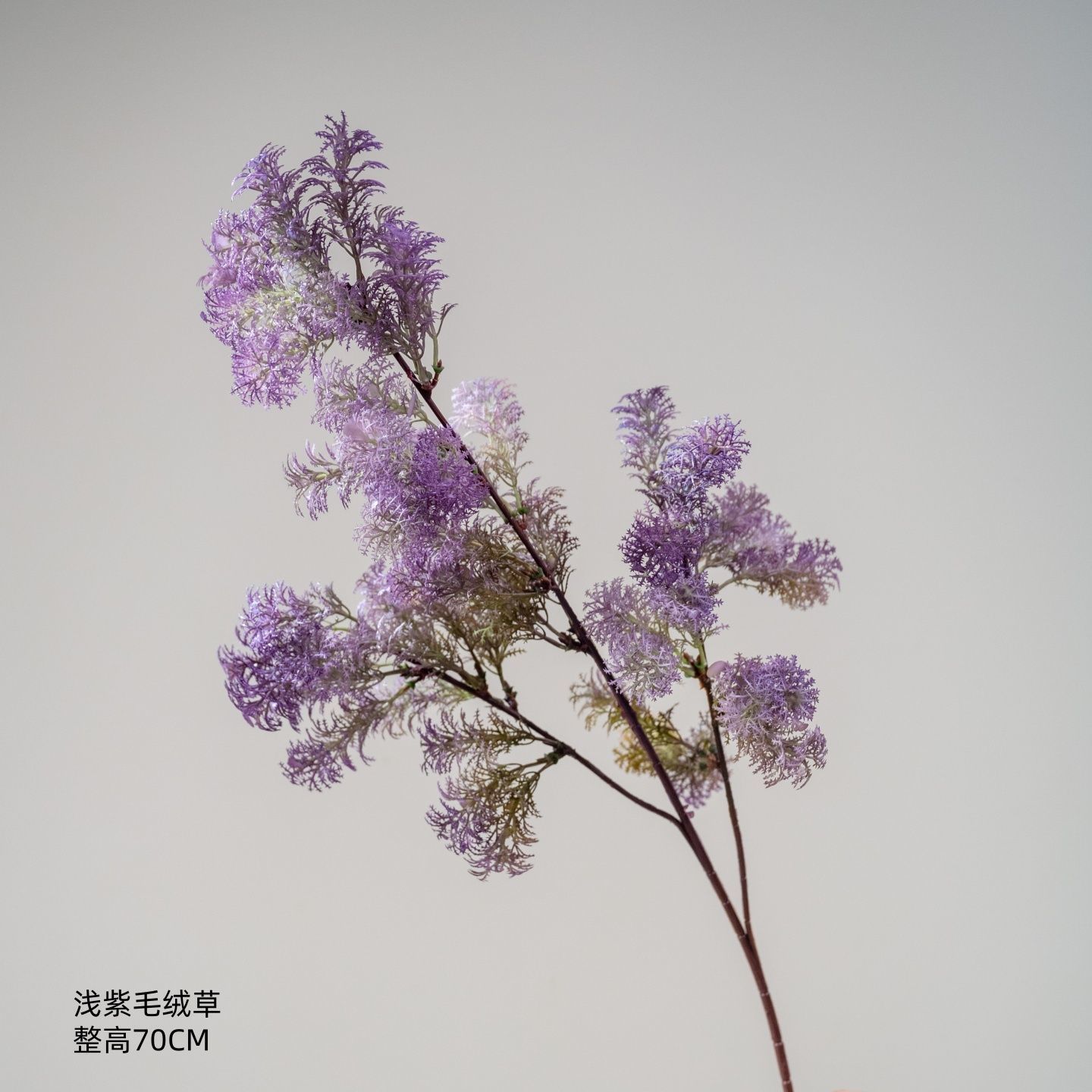 Herbe pelucheuse violet clair