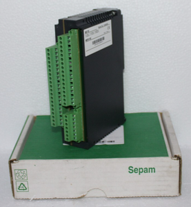 PLCプログラミングコントローラPlc 59715 MES120 IOモジュールSepamシリーズ60 80 14入力6出力 - Product Image 2