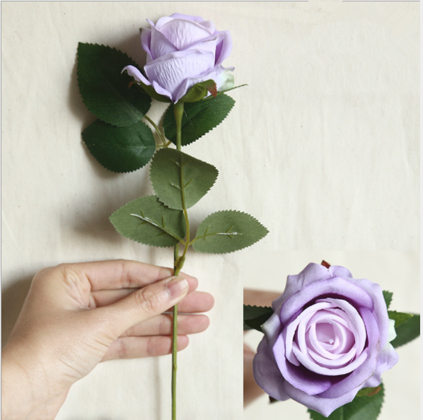 Pourpre