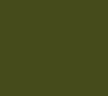 Verde dell'esercito