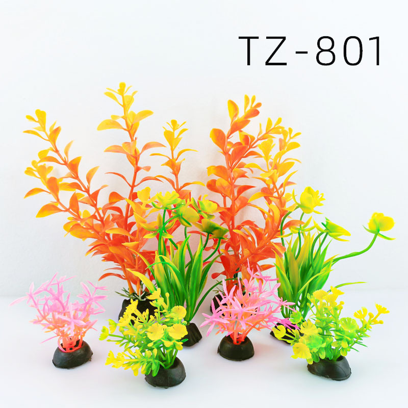 Tz-801
