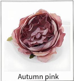 10-rosa otoño