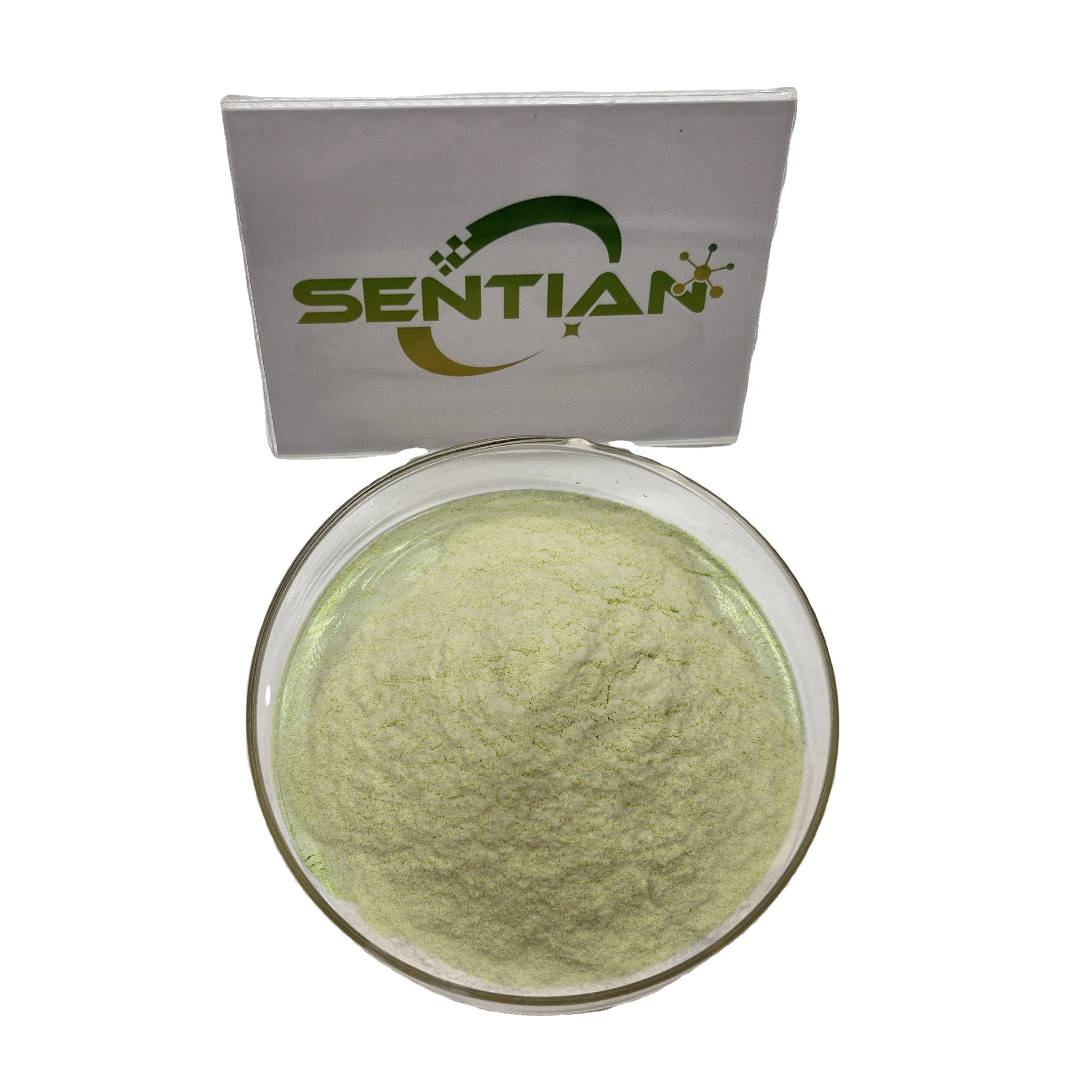 Wholesale Bulk Price Best Organic Green Broccoli Powder/ Broccoli Leaf Powder