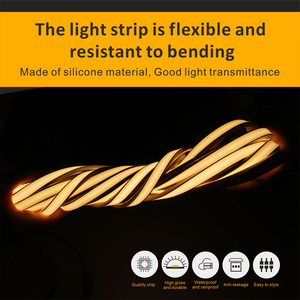 Agstrip Led şerit ışık 24V Led ışık şerit rulo Led su geçirmez şerit ışıkları - Product Image 4