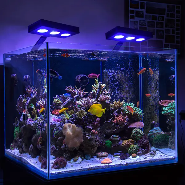 CTLite-luz de arrecife de coral de 30w, tanque de arrecife de 20-40cm, luz led para acuario marino, lámpara con temporizador