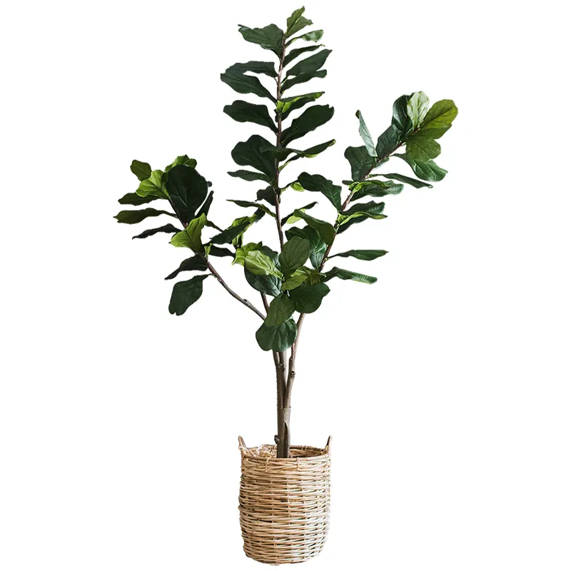 Decorazioni per la casa albero foglie di Banyan artificiale grande tocco reale grande ramoscello secco forniture grandi rami di Ficus artificiali