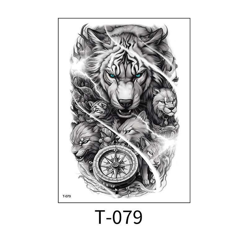 T-079
