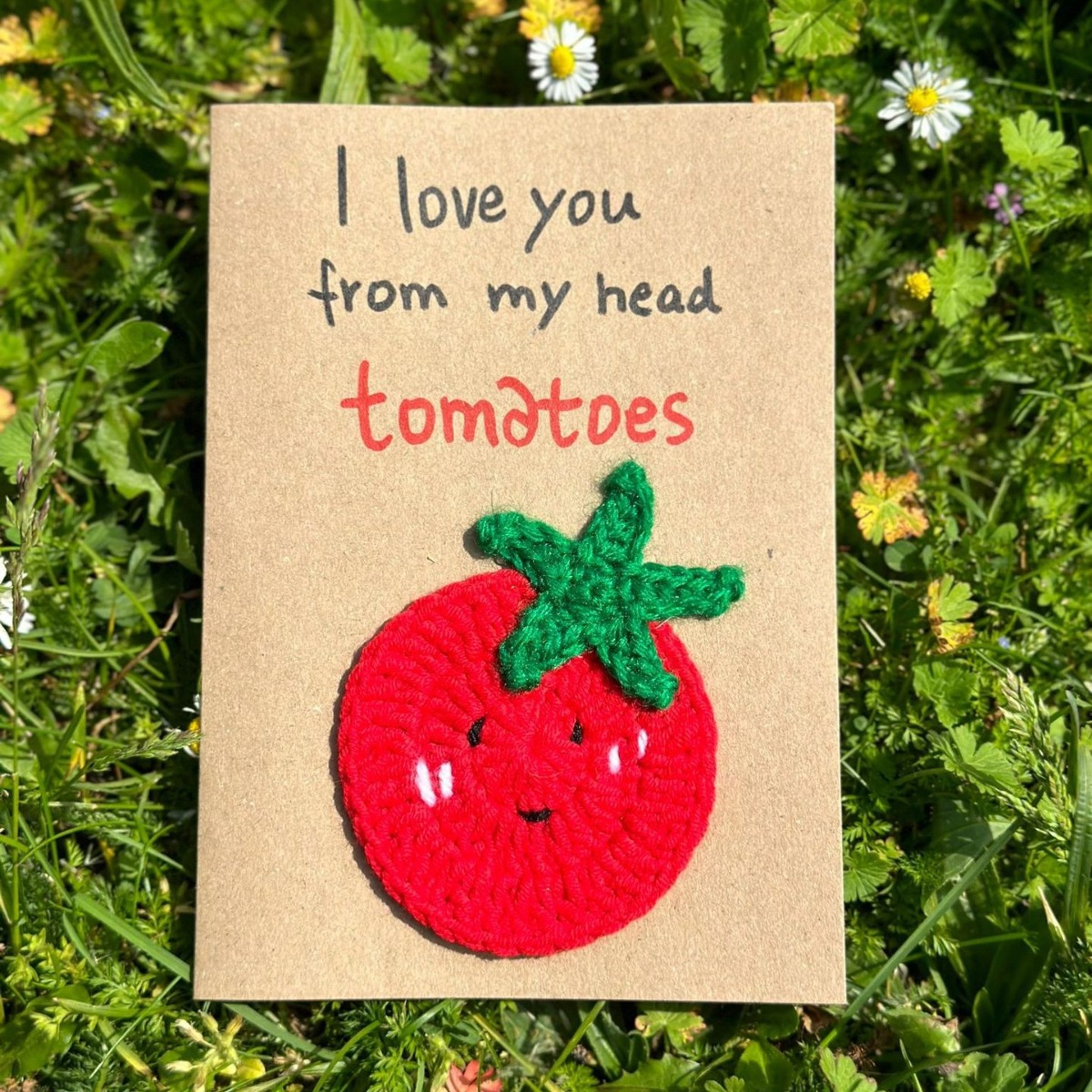 pack de matériel tomate rouge tomate