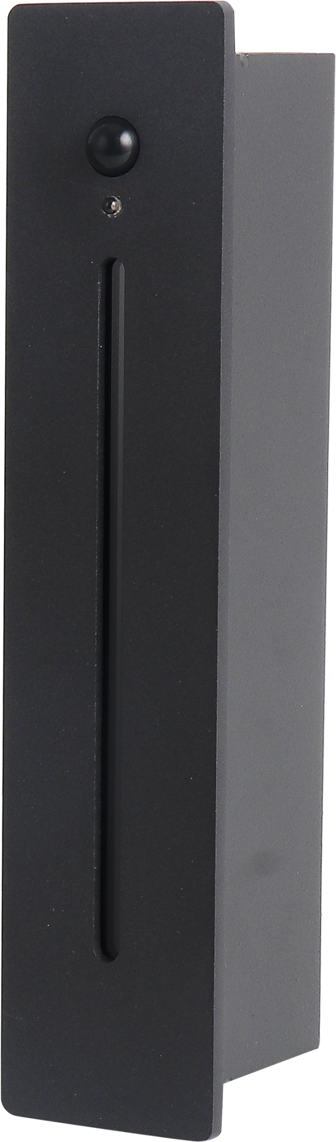 Negro