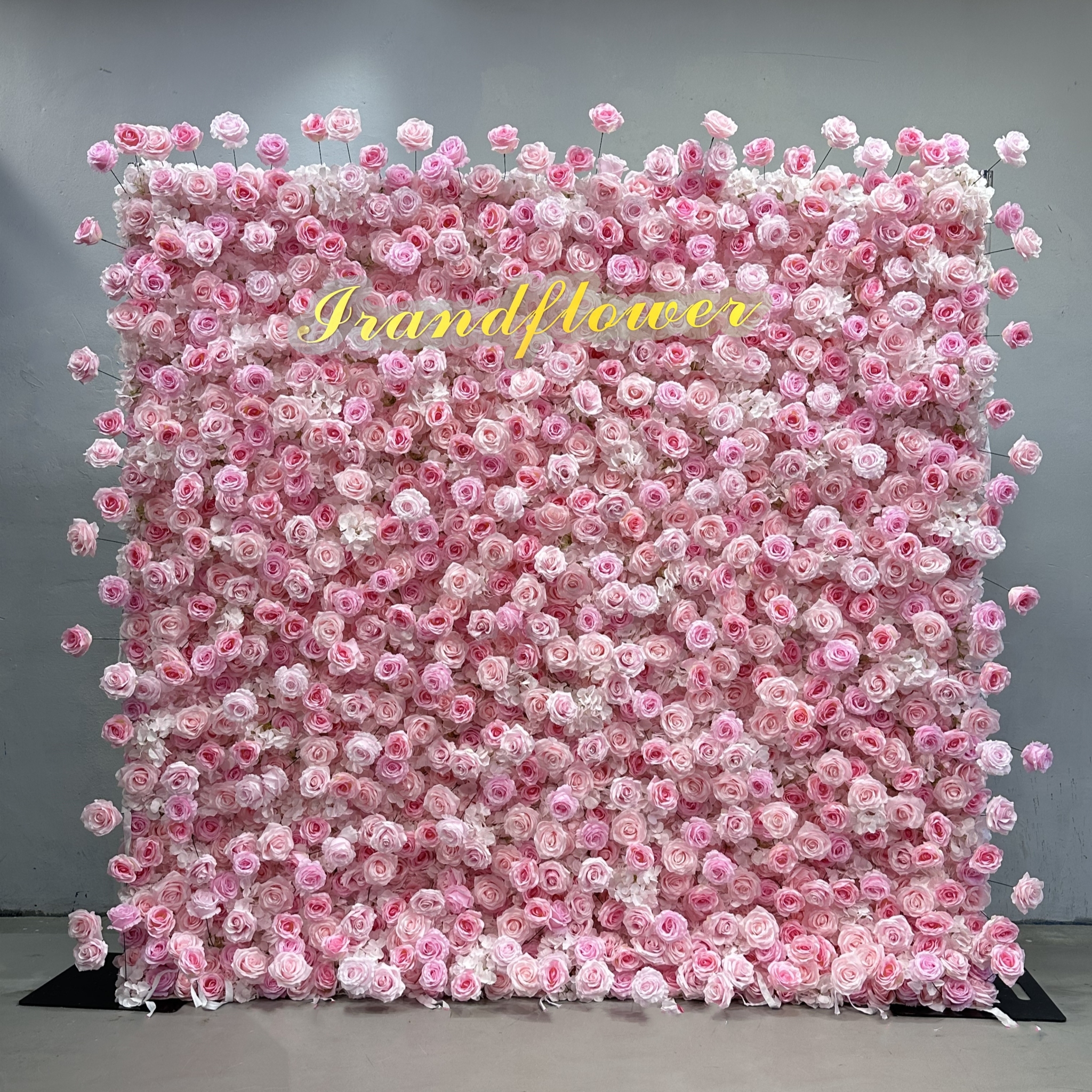 Rosa