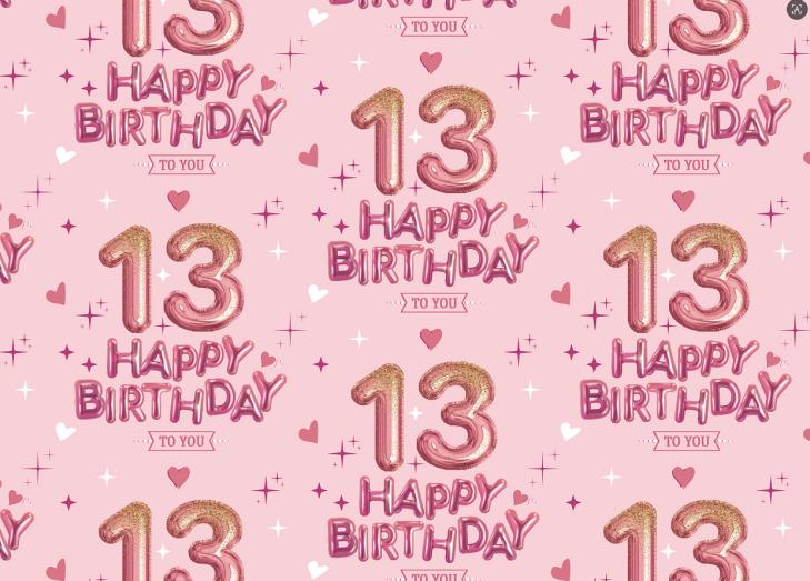 BUR-JDYS-13-PINK-5M-2026
