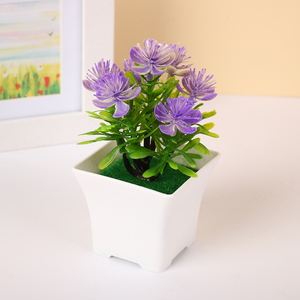 Pourpre