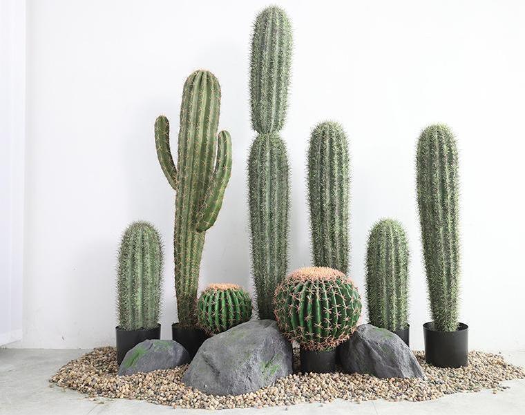 Two sets of Michigan big-headed cactus pillars