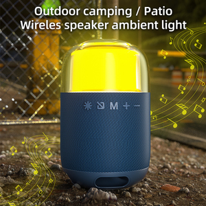 Altavoz de micrófono inalámbrico profesional Micrófono de mano incorporado Reproductor de música con micrófono Altavoz para cantar - Product Image 2