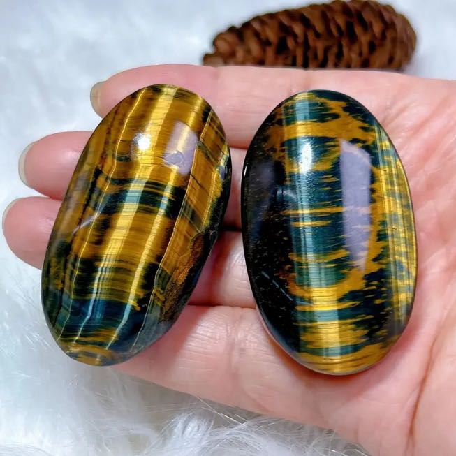 Yellow tiger eye palm