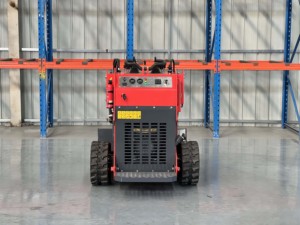 Miễn phí vận chuyển earthmoving máy móc Mini Skid chỉ đạo 3 Bơm 3 van mini loader Skid chỉ đạo Bộ nạp - Product Image 2