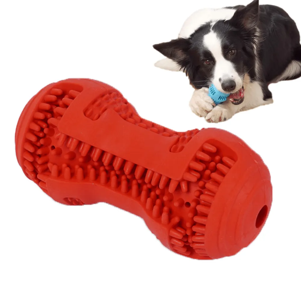 TPR बड़े कुत्ते हड्डी रबर पालतू खिलौना ध्वनि मजबूत काटने-प्रतिरोधी पालतू जानवर टूथब्रश खिलौने ट्रेन दांत साफ चबाने Perros सामान