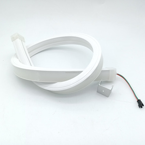 ไฟนีออน LED แบบพิกเซลสำหรับจอดรถไฟอเนกประสงค์ - Product Image 5