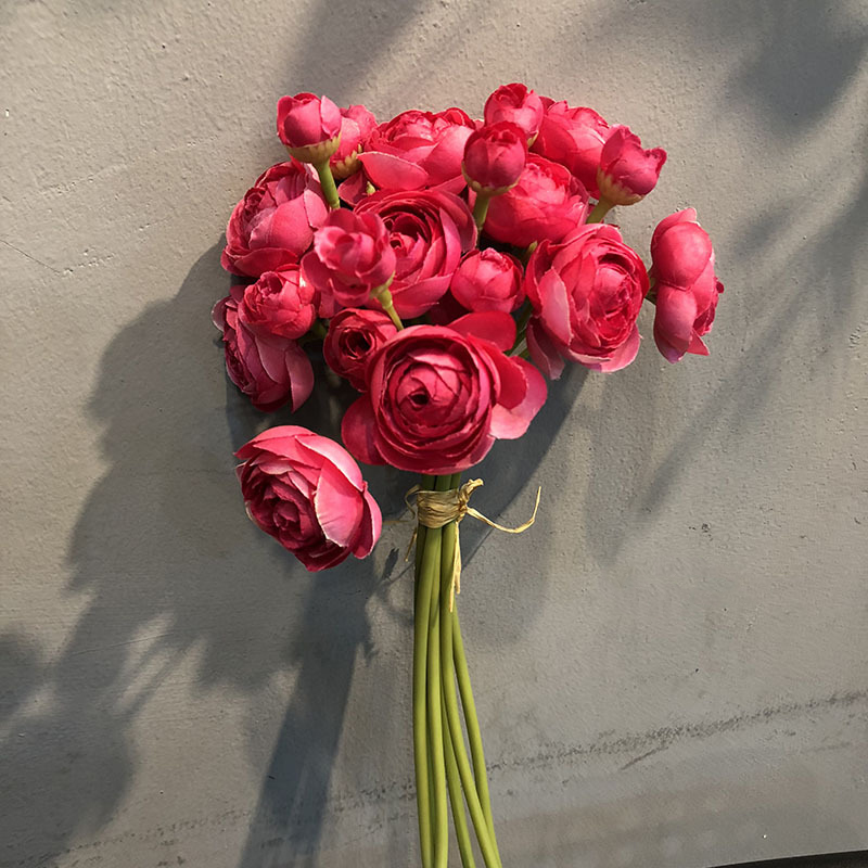Rose garance