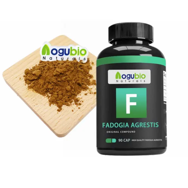 ผง Fadogia Agrestis Stem,สารสกัดจากธรรมชาติ Fadogia