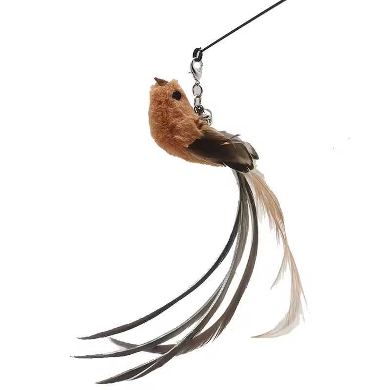 Vida bird-brown