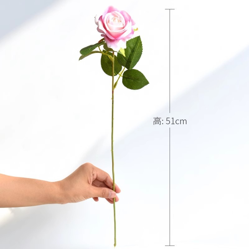 seule rose rose