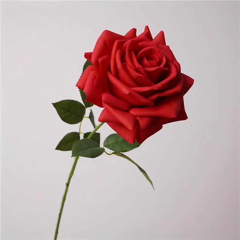 Rojo
