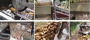 Máquina de procesamiento de cacao en polvo de buena venta o máquina de molienda de granos de cacao Máquina para romper vainas de cacao - Product Image 3