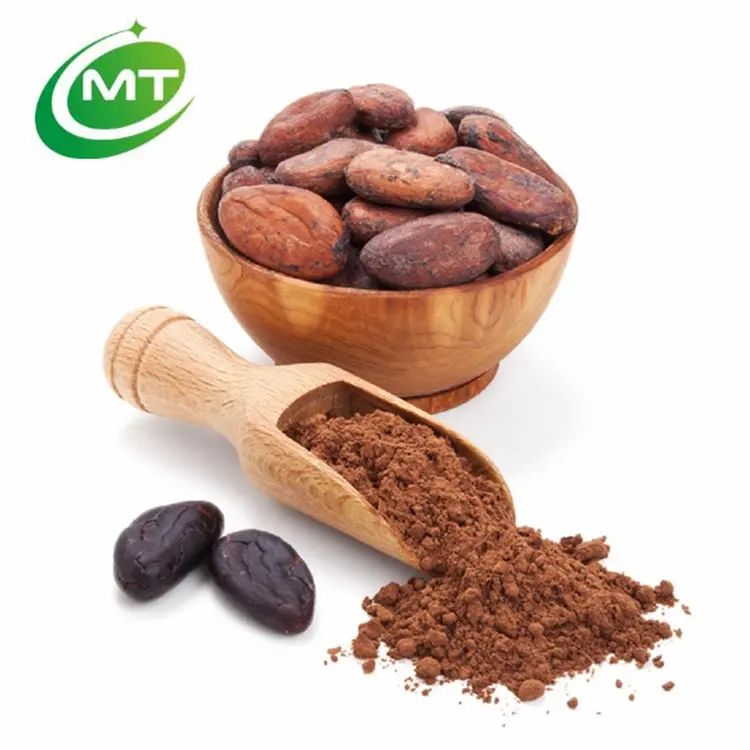 Pó de cacao orgânico de alto natural, extrato de theobromo cacao toasted para café e cozimento