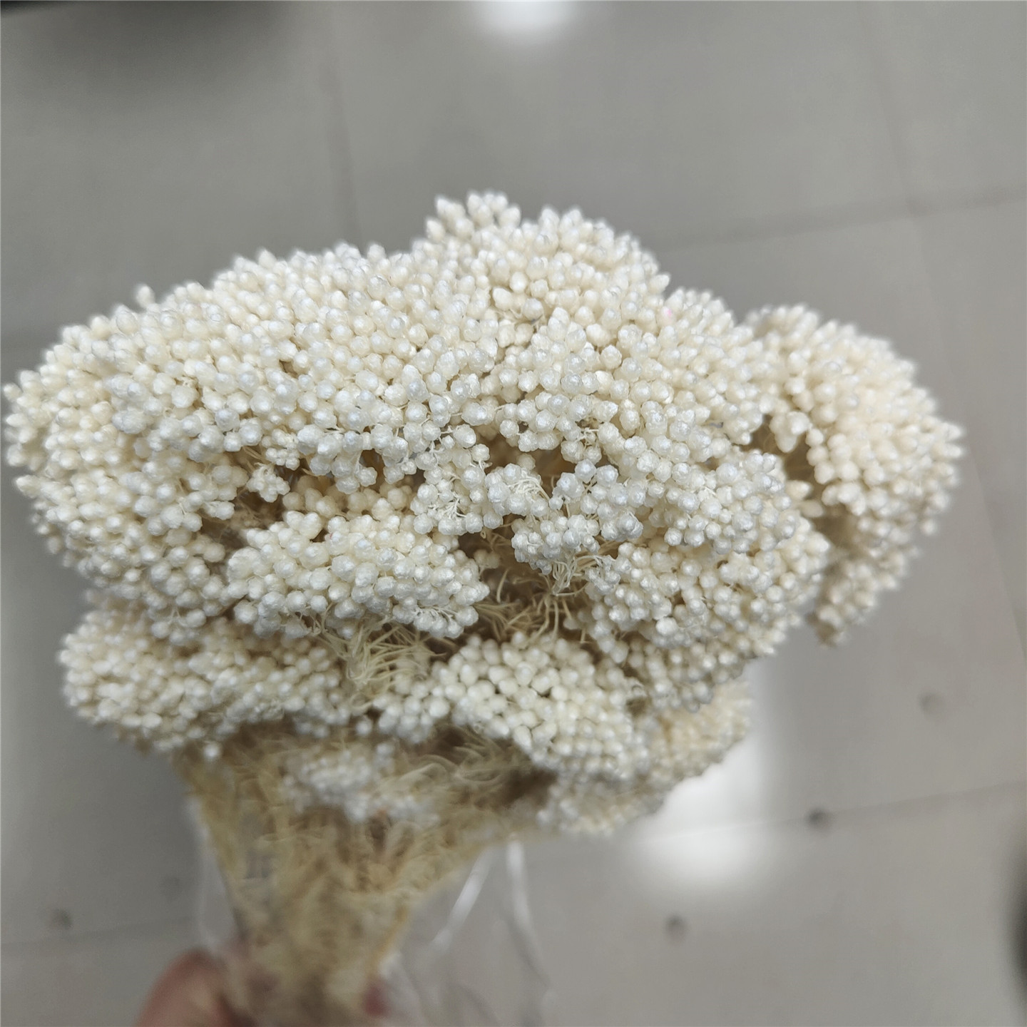 Bianco sbiancato