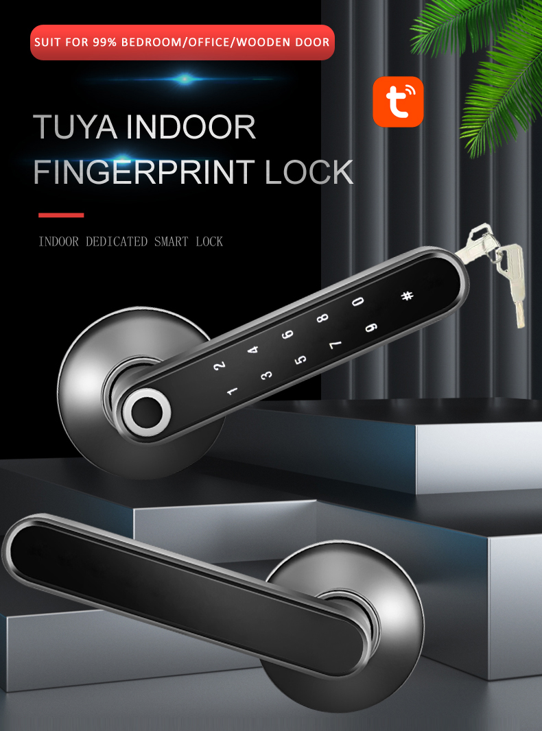 Competitive Price S604 BLE Smart Wifi Tuya APP Lock Intelligent Biometric Fingerprint Door Lock Password Home Door Lock