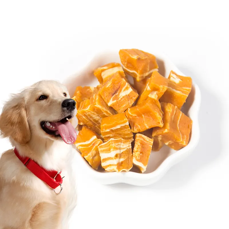 Vendita calda Custom Dog Treat Nutrition OEM varietà di sapori cubo di pollo essiccato cibo per animali personalizzato