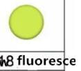 18 Fluorescen yellow