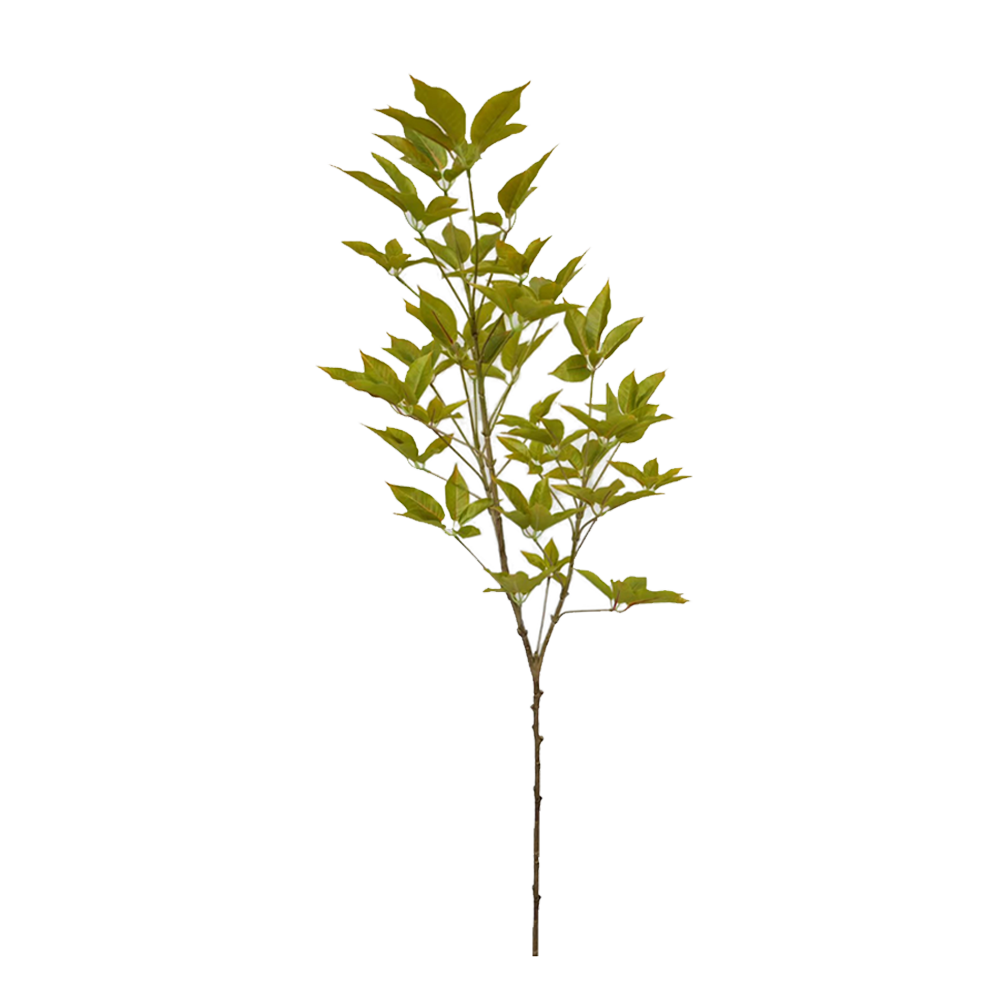 PL005-2-GREEN