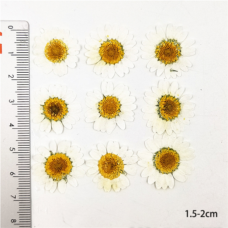 1.5-2cm
