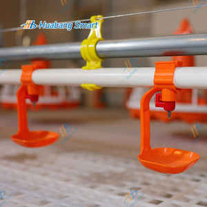 Poultry Farming Equipment Fully Automatic Water and <strong>Feed</strong> Feeding <strong>System</strong> - Product Image 6