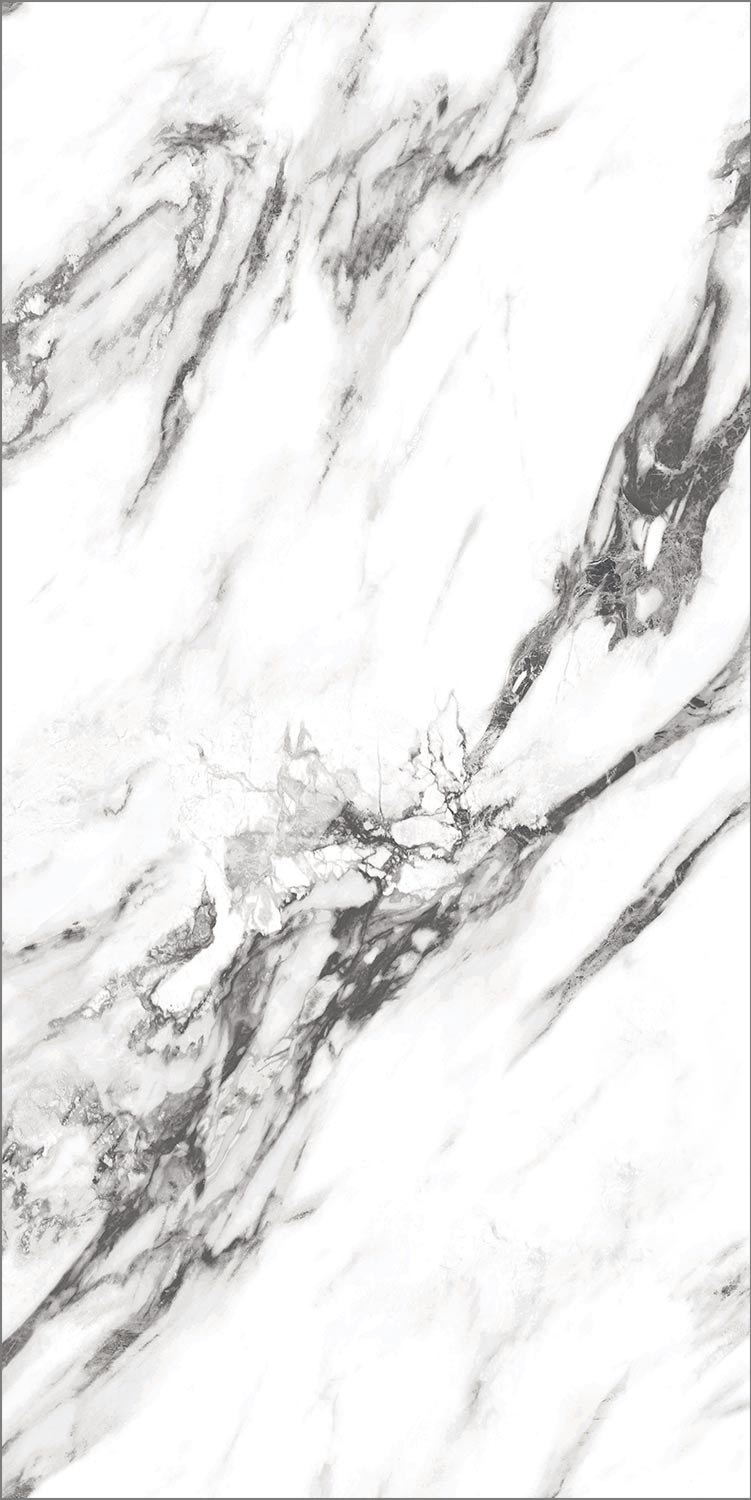 AMS12206