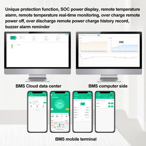 Smart Power Change Solution Connected To Bms Battery Management, With <strong>Temperature</strong> Detection Charge Management And Other Function - Product Image 6