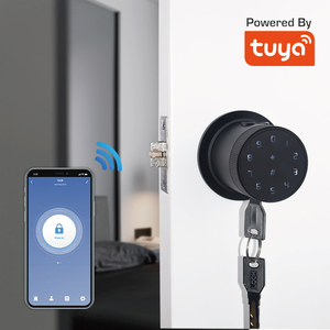 חכם אבץ סגסוגת צילינדר דיגיטלי מגנטי מלון Keyless Wifi דלת מנעולי מערכת מחיר