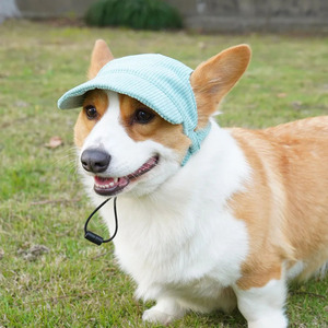애완 동물 액세서리 핫 세일 코듀로이 개 고양이 야구 모자 애완 동물 태양 모자 봄 여름 양동이 야외 개 모자 사용자 정의 로고