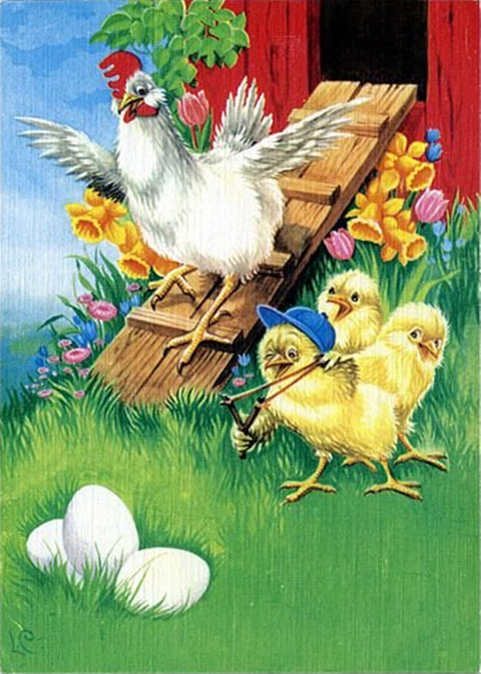 Poulet-2