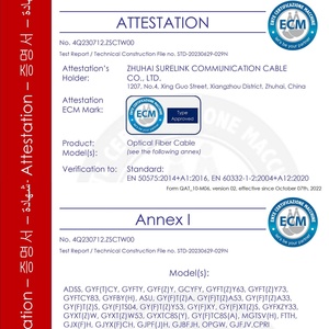 Outdoor Single Mode FTTH Fiber Optical <strong>Cable</strong> Manufacturer's 2-Core Drop <strong>Cable</strong> with FRP GYFXTBY Flat <strong>Type</strong> for 3G 4G WiFi <strong>Networks</strong> - Product Image 5