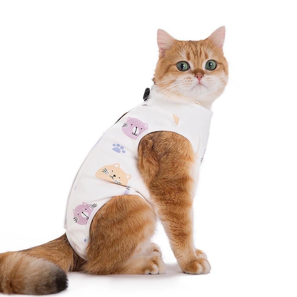Pet incontinence pants-colorful cat