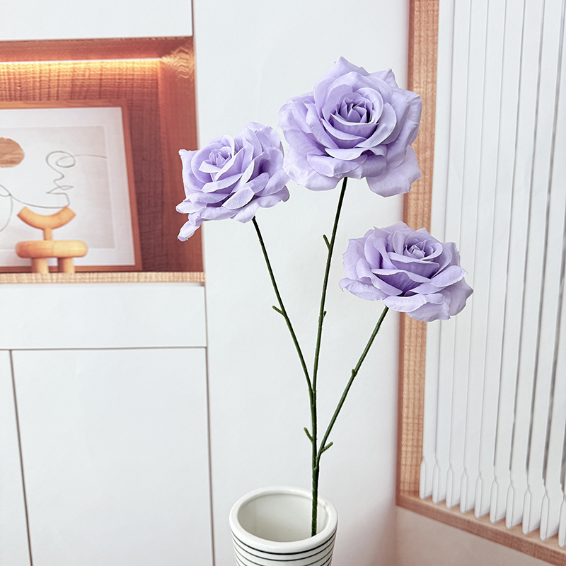 light purple