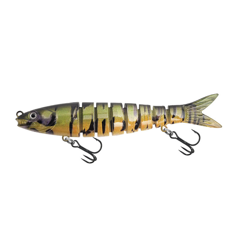14 rayures de tigre de la jungle