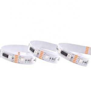 新产品Ip20 Ip65 Ip67 Ip68 60leds/m 10像素Dmx512 24v RGB智能灯发光二极管条 - Product Image 2